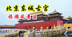 操丝袜女人逼高潮视频中国北京-东城古宫旅游风景区